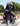 Dallas Freedmantowns &amp; The Legacy of Dr. M.C. Cooper, DDS-A Conversation with David Newton &amp; Lewis Rhone