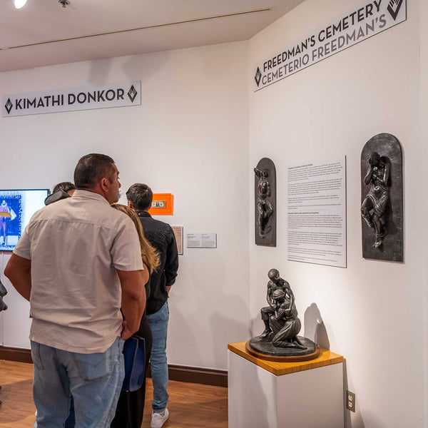 Gallery image 6