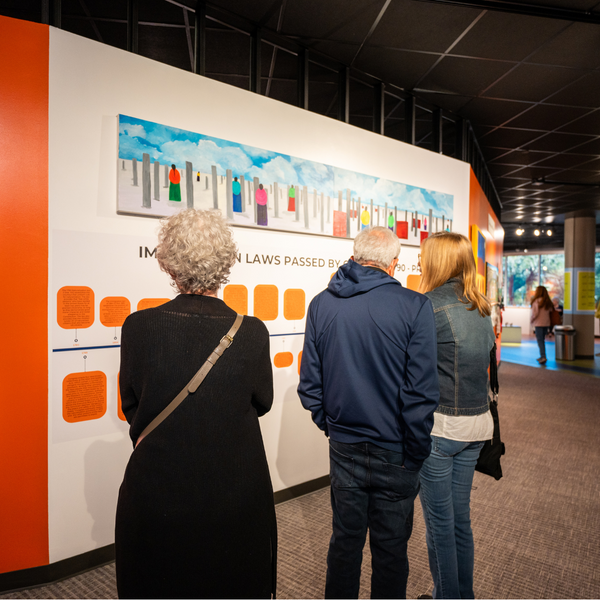 Gallery image 3