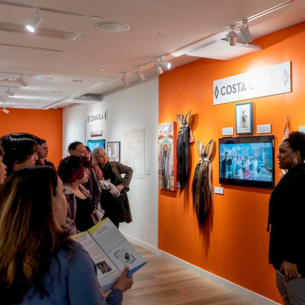 Gallery image 11