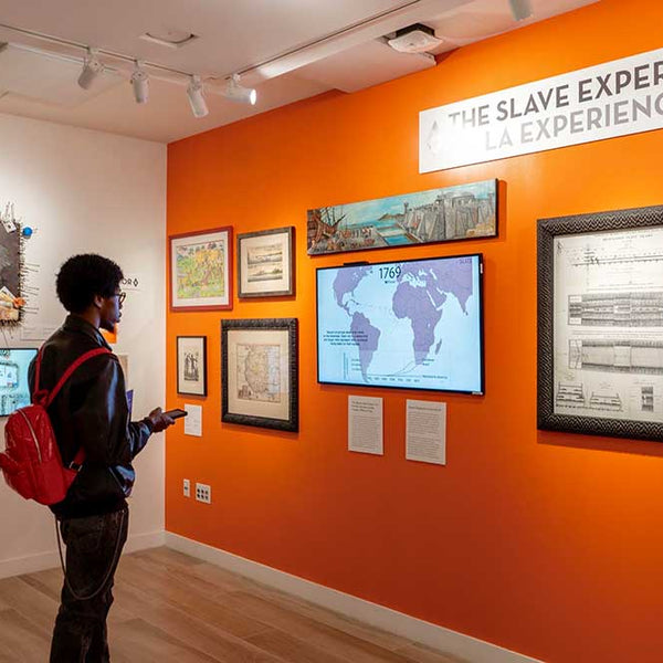 Gallery image 4
